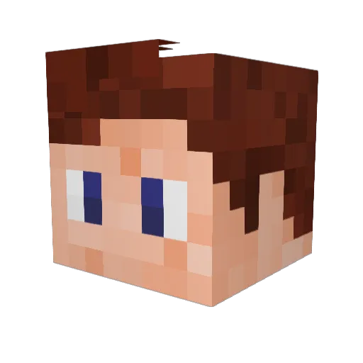 Shadewood Minecraft avatar head, 3D render
