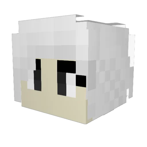 ShadeyRaven Minecraft avatar head, 3D render