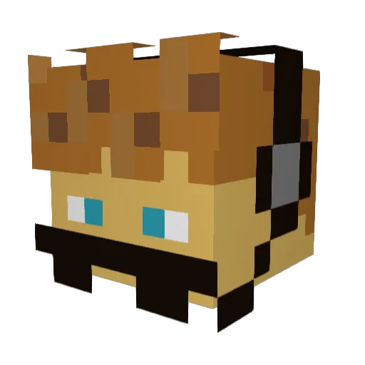 Shadey_games Minecraft avatar head, 3D render
