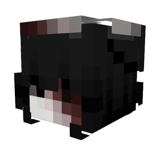ShadeyyNight Minecraft avatar head, 3D render