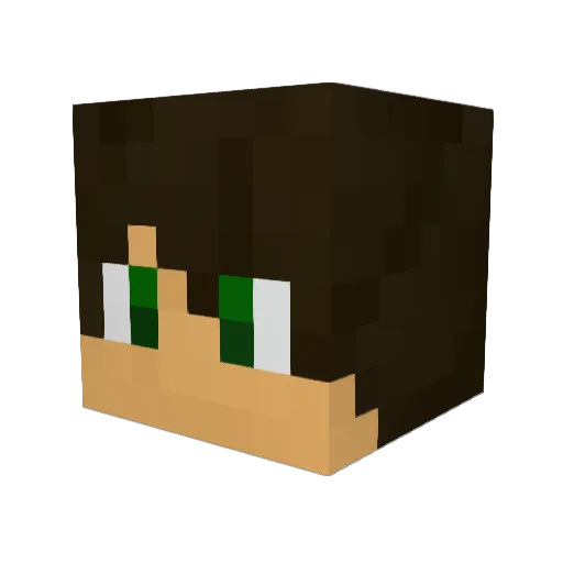 Shadie1 Minecraft avatar head, 3D render