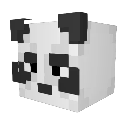 Shadix222 Minecraft avatar head, 3D render