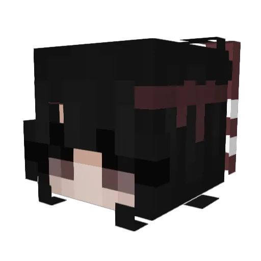 Shadlnow Minecraft avatar head, 3D render