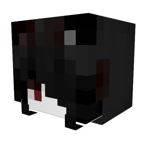 Shado0_0 Minecraft avatar head, 3D render