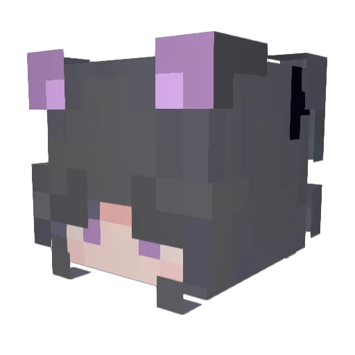 Shado812 Minecraft avatar head, 3D render