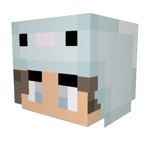 ShadoWolf5560 Minecraft avatar head, 3D render