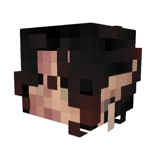 Shadonkadonk Minecraft avatar head, 3D render