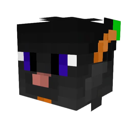 ShadoooPuppy Minecraft avatar head, 3D render