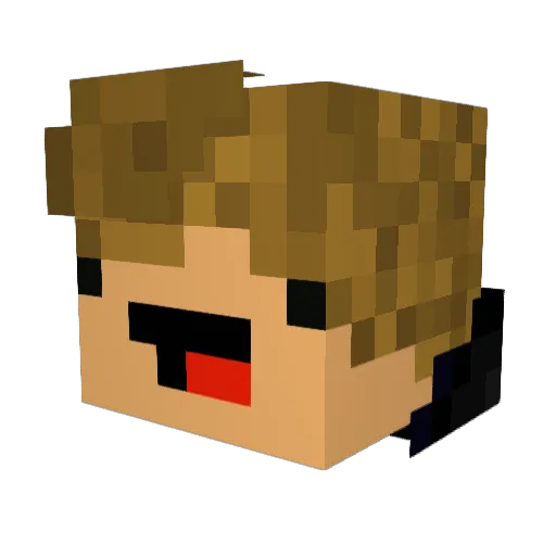 Shadoq34 Minecraft avatar head, 3D render