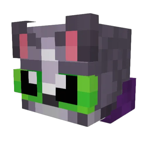 Shadoritos Minecraft avatar head, 3D render
