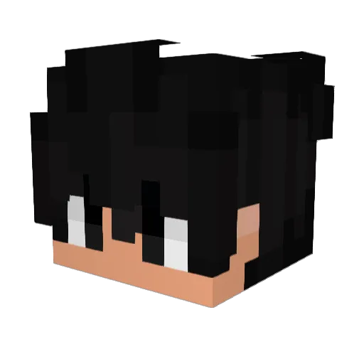 Shadow0333333 Minecraft avatar head, 3D render