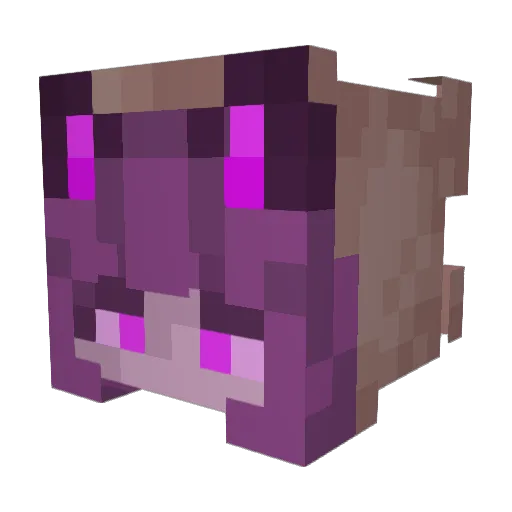 Shadow0fRegret Minecraft avatar head, 3D render