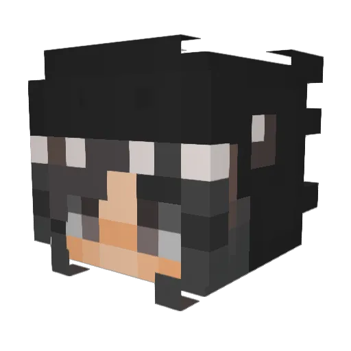 Shadow11379 Minecraft avatar head, 3D render
