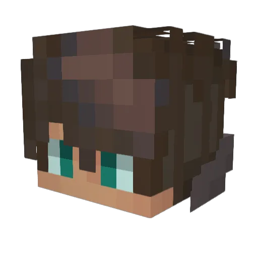 Shadow13Ninja28 Minecraft avatar head, 3D render