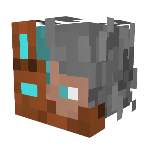 Shadow17612 Minecraft avatar head, 3D render
