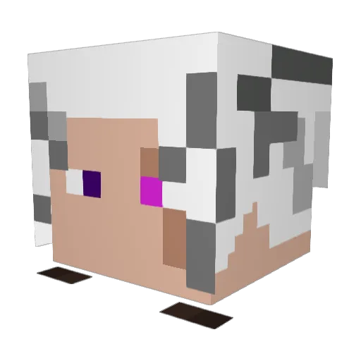 Shadow200709 Minecraft avatar head, 3D render
