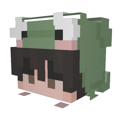 Shadow2134 Minecraft avatar head, 3D render