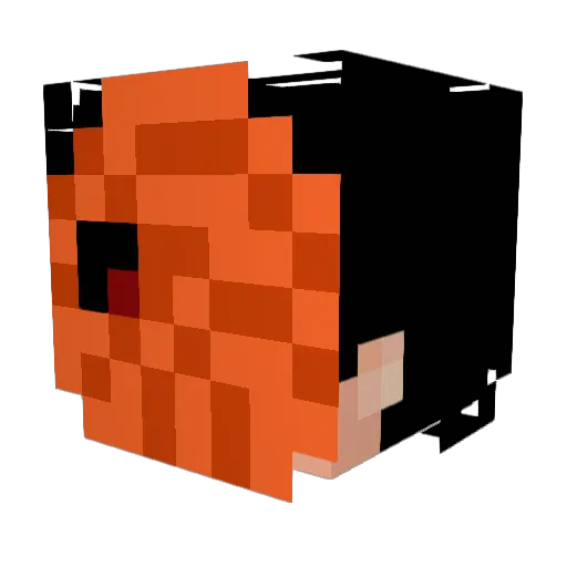 Shadow215Walker Minecraft avatar head, 3D render
