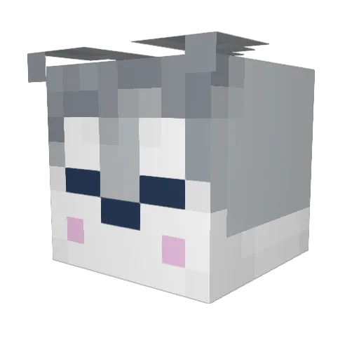 Shadow2525 Minecraft avatar head, 3D render