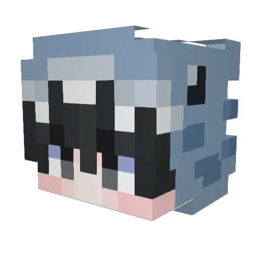 Shadow290611 Minecraft avatar head, 3D render