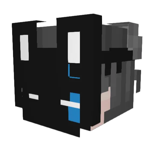 Shadow3214500 Minecraft avatar head, 3D render