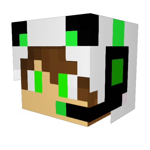 Shadow4277 Minecraft avatar head, 3D render