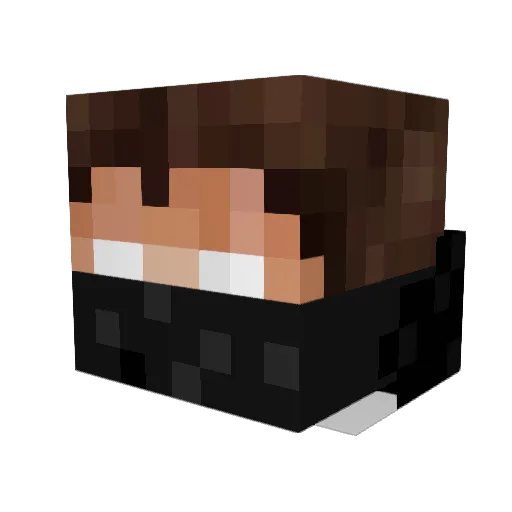 Shadow44778 Minecraft avatar head, 3D render