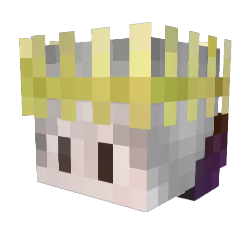 Shadow4998 Minecraft avatar head, 3D render