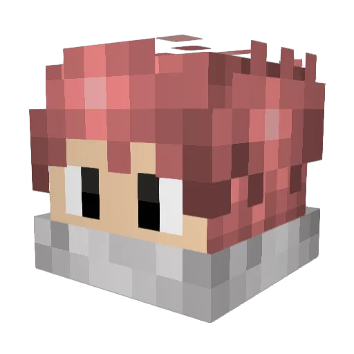 Shadow65401 Minecraft avatar head, 3D render