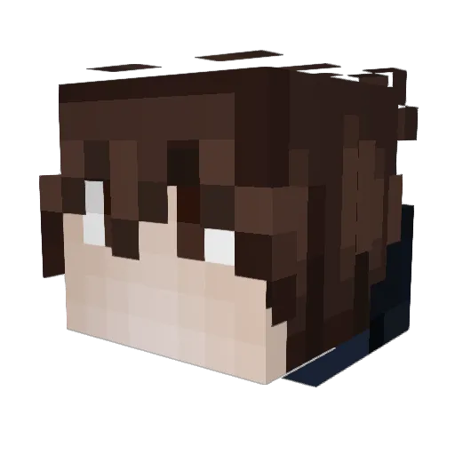 Shadow8329 Minecraft avatar head, 3D render