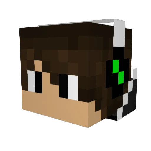 Shadow9025 Minecraft avatar head, 3D render