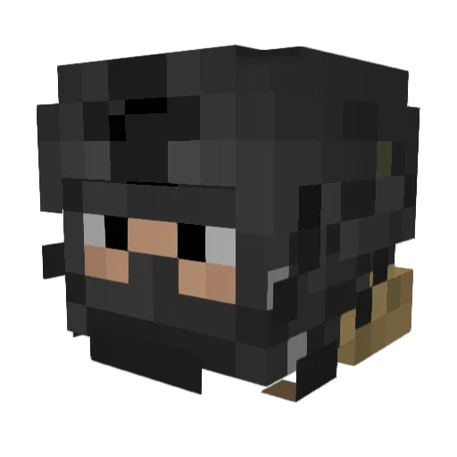 Shadow97113 Minecraft avatar head, 3D render