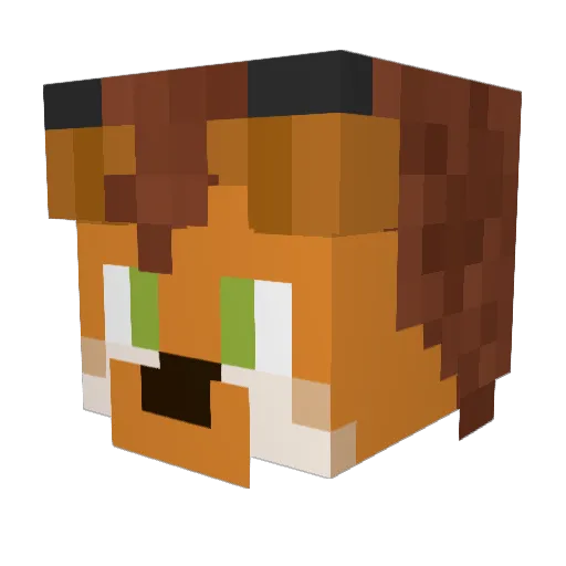 Shadow99611 Minecraft avatar head, 3D render