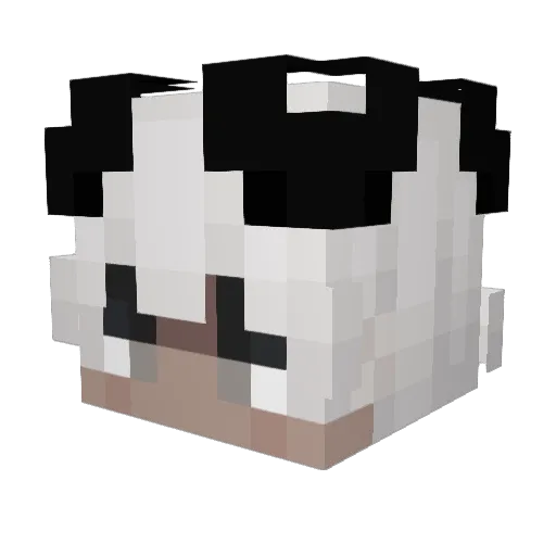 ShadowAaron1308 Minecraft avatar head, 3D render