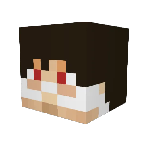 ShadowAce0011 Minecraft avatar head, 3D render