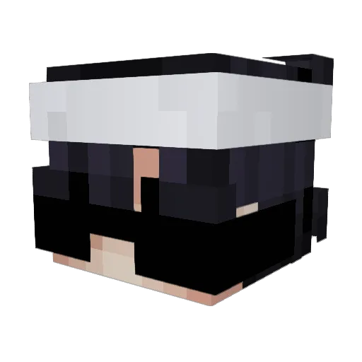 ShadowAle10 Minecraft avatar head, 3D render