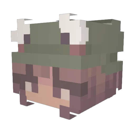 ShadowAoife Minecraft avatar head, 3D render