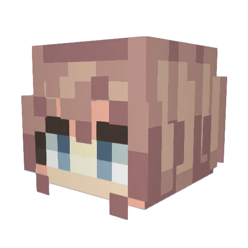 ShadowArcher525 Minecraft avatar head, 3D render