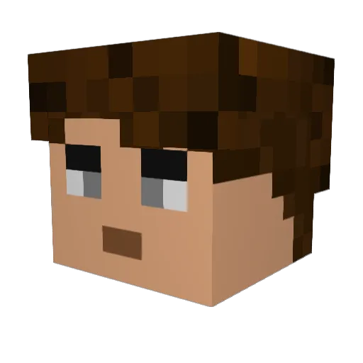 ShadowBird360 Minecraft avatar head, 3D render