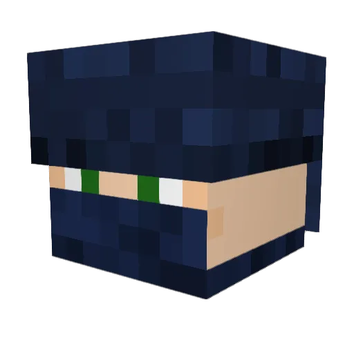 ShadowBlade76 Minecraft avatar head, 3D render