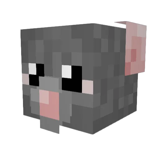 ShadowCarton Minecraft avatar head, 3D render