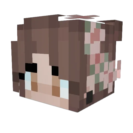 ShadowCat0210 Minecraft avatar head, 3D render