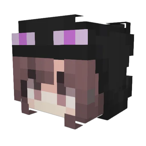 ShadowCatKira Minecraft avatar head, 3D render