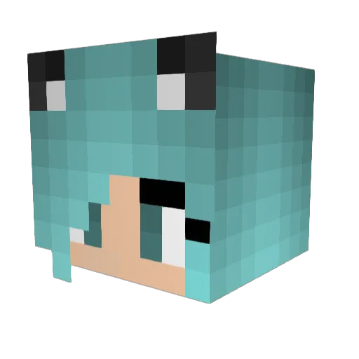 ShadowCatMiner Minecraft avatar head, 3D render