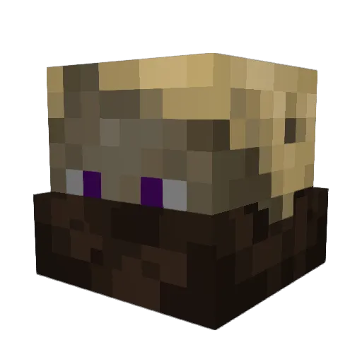 ShadowCore671 Minecraft avatar head, 3D render