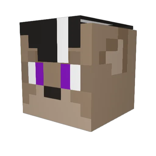 ShadowCoyote Minecraft avatar head, 3D render