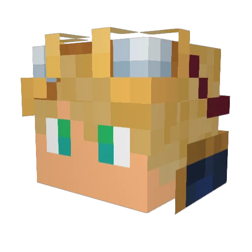 ShadowCraft2234 Minecraft avatar head, 3D render