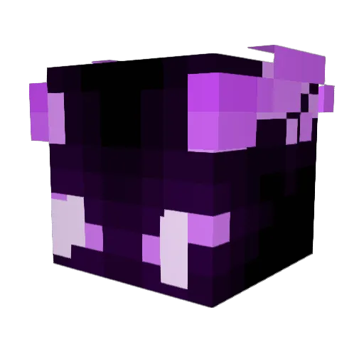 ShadowCrafter546 Minecraft avatar head, 3D render