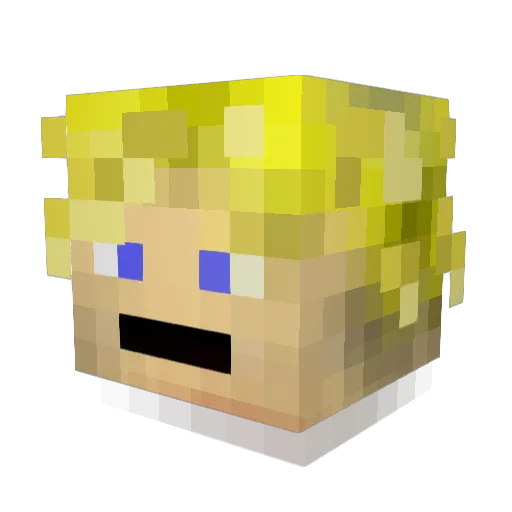 ShadowD21 Minecraft avatar head, 3D render