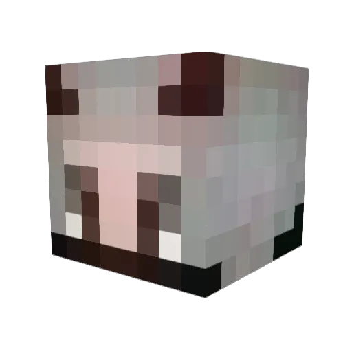 ShadowD25 Minecraft avatar head, 3D render